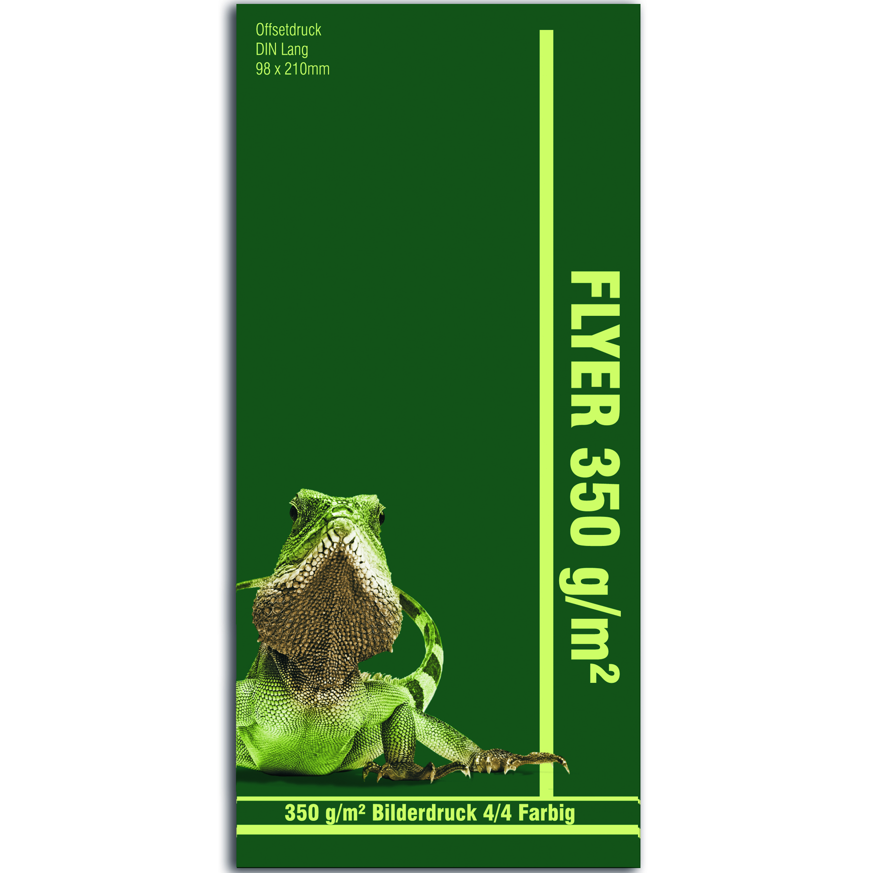 Flyer DIN lang - 350 g/m²  Bilderdruck matt