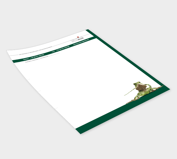 Briefpapier 80 g/m² 4/0 farbig bedruckt