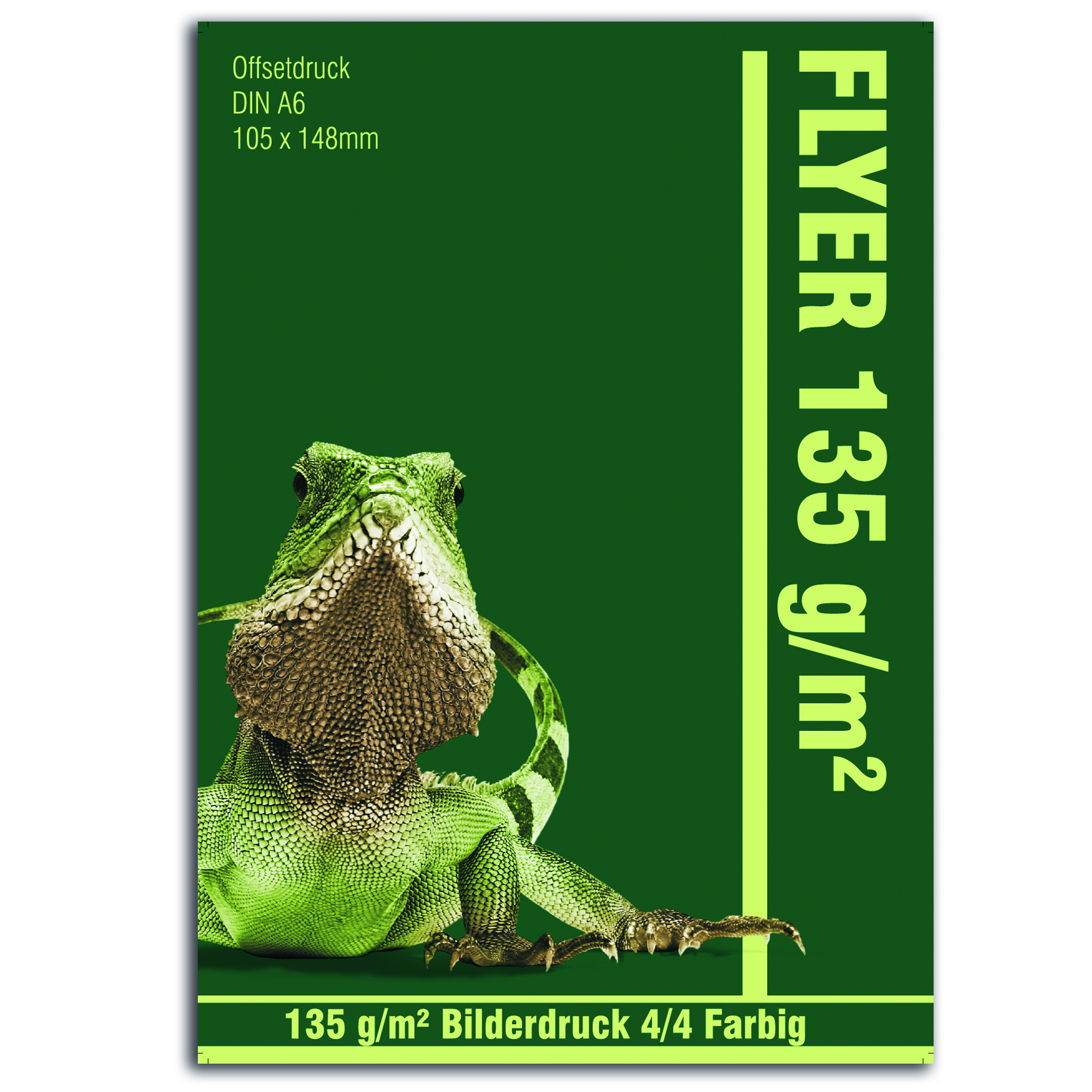 Flyer DIN A6 - 135 g/m²  Bilderdruck matt oder glanz