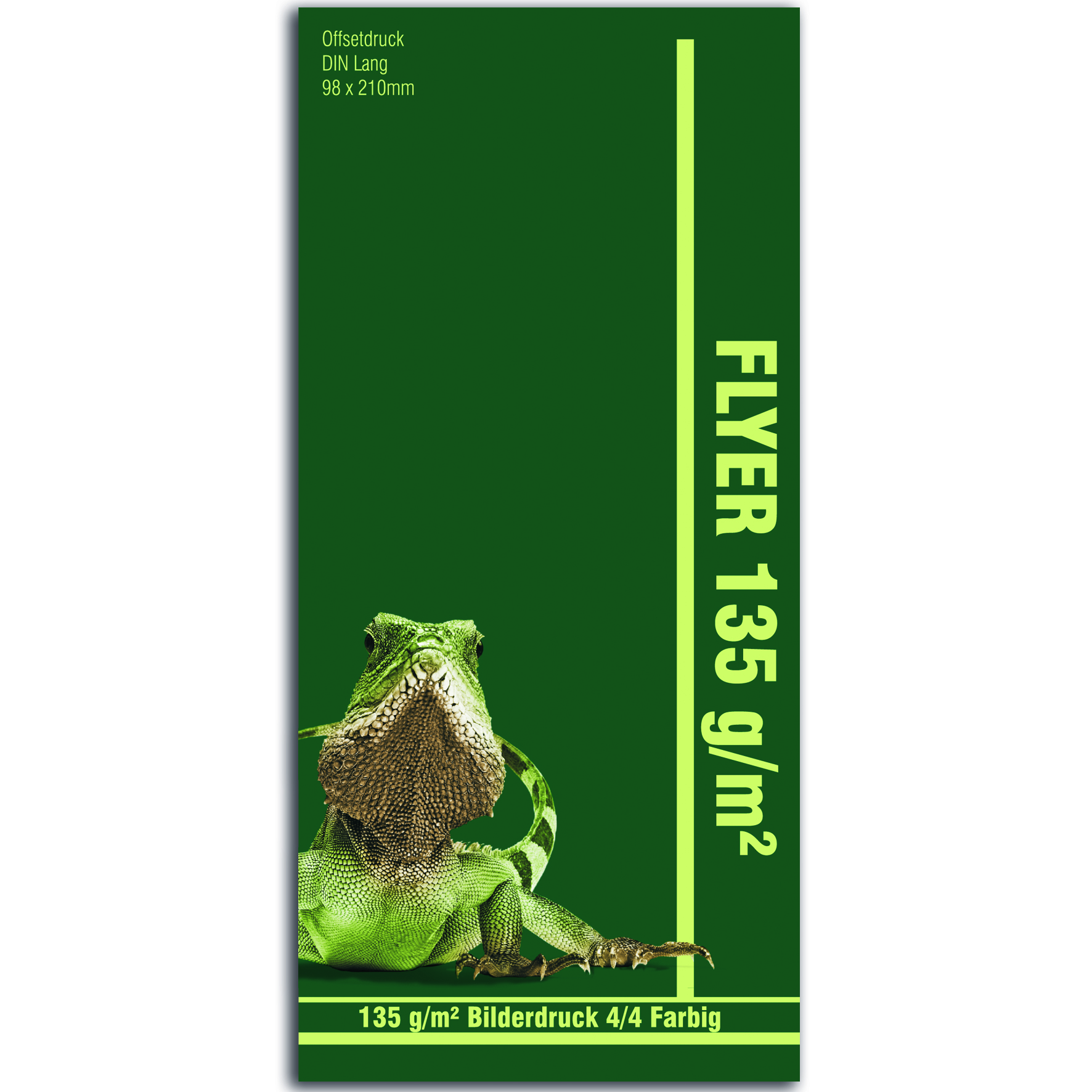Flyer DIN lang - 135 g/m²  Bilderdruck matt oder glanz
