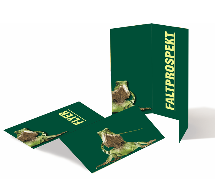 Folder Wickelfalz DIN A4 auf DIN lang - 135 g/m²  Bilderdruck