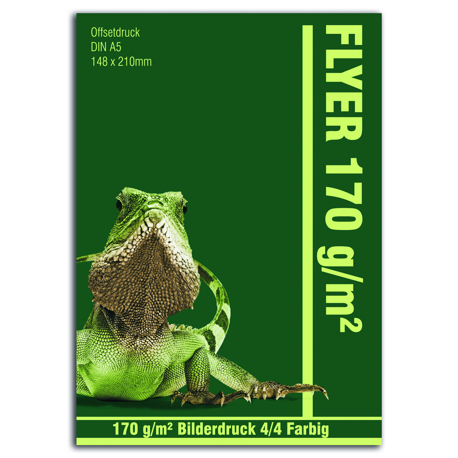 Flyer DIN A5 - 170 g/m²  Bilderdruck matt oder glanz