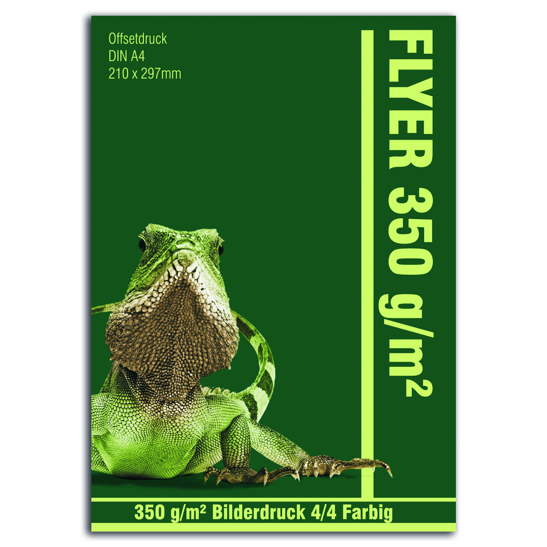 Flyer DIN A4 - 350 g/m²  Bilderdruck matt 
