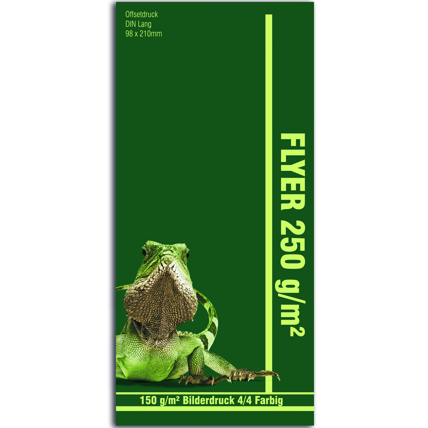 Flyer DIN lang - 250 g/m²  Bilderdruck matt oder glanz
