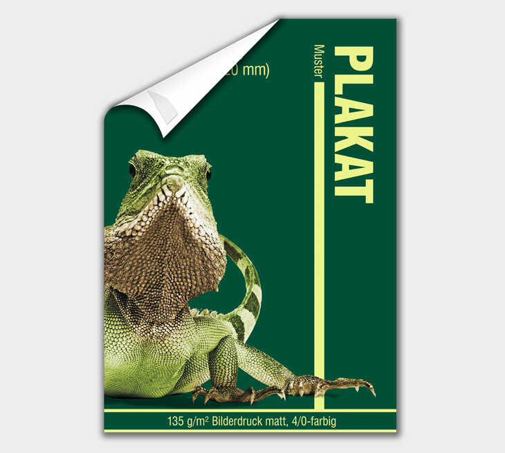 Plakate DIN A1 - 135 g/m²  Bilderdruck matt Papier